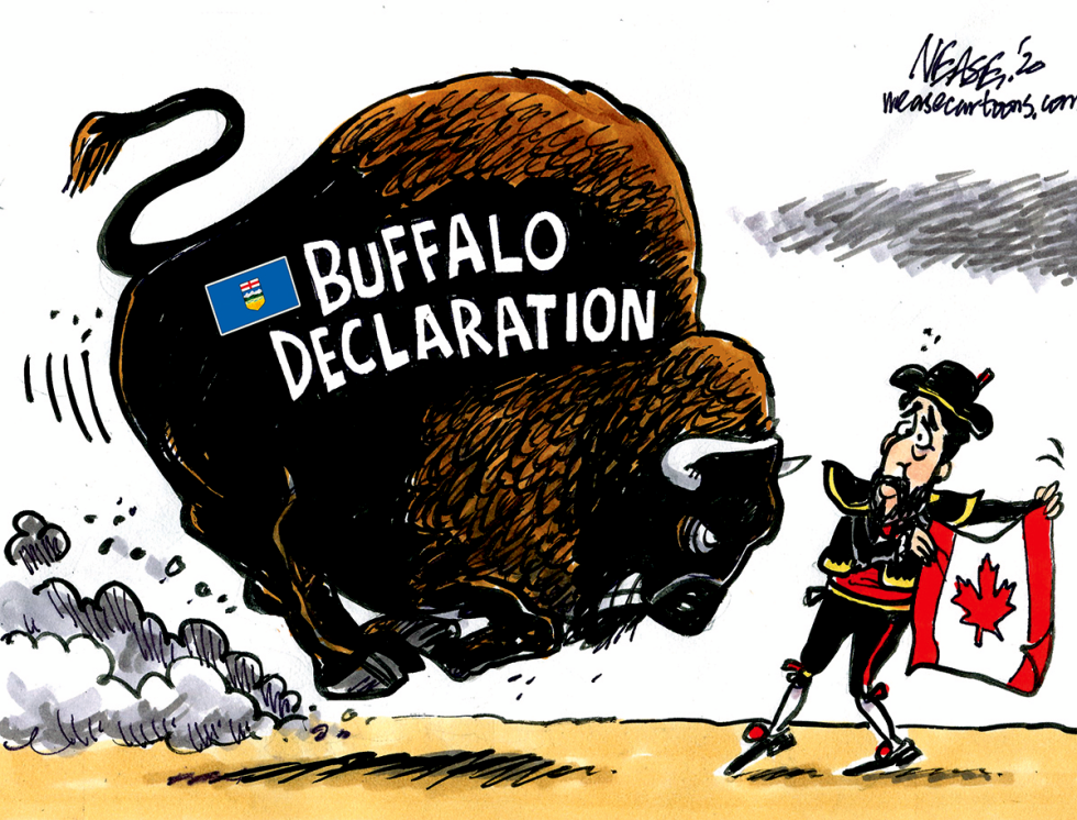 Buffaloed