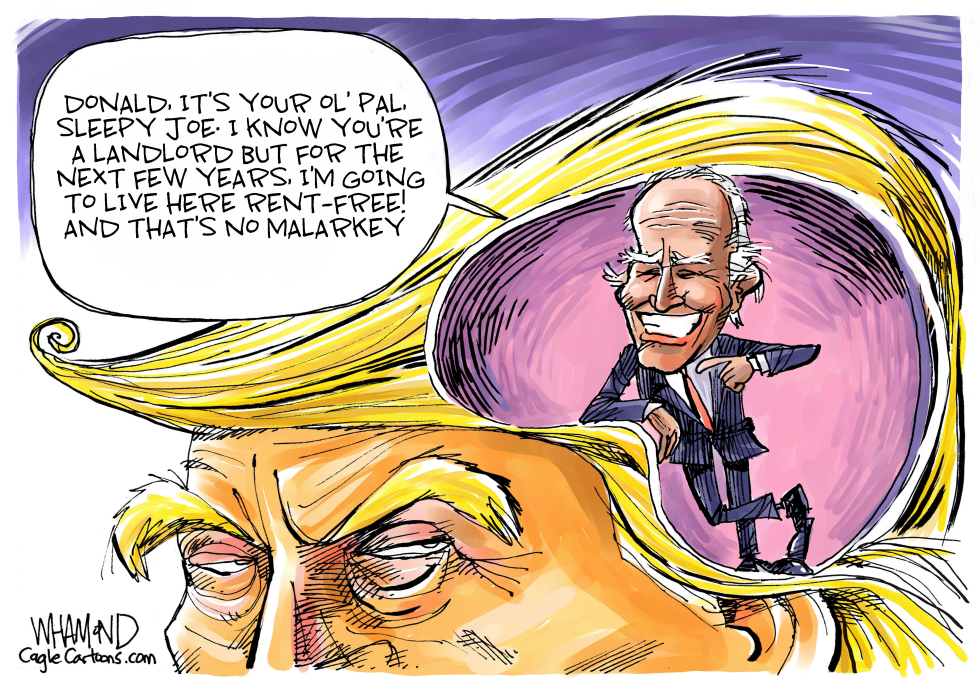 Biden on the brain