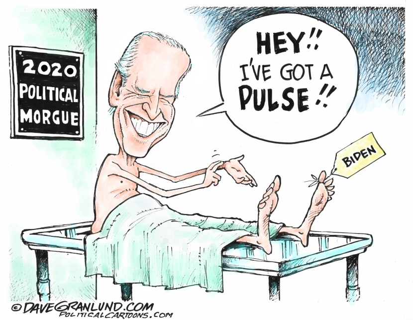 Biden 2020 pulse