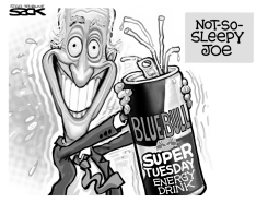 BIDEN BOOST by Steve Sack