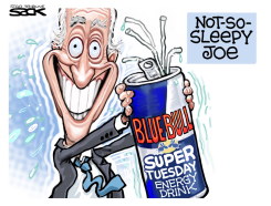 BIDEN BOOST by Steve Sack