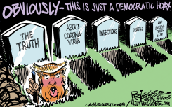 DEMOCRAT HOAX by Milt Priggee