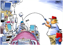 TRUMP CORONAVIRUS RESPONSE by Dave Whamond