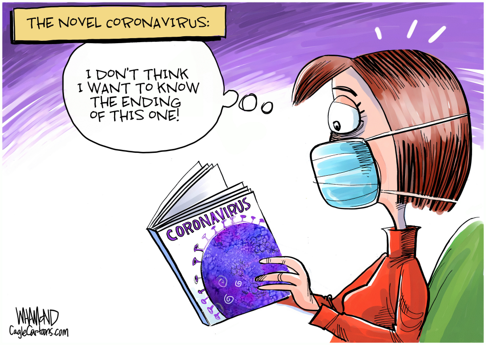 The Novel Coronavirus