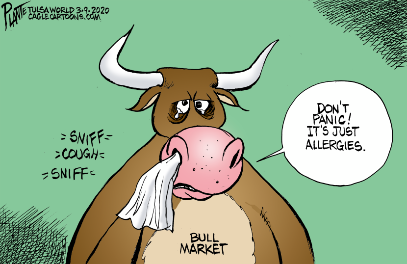 The Bull Market