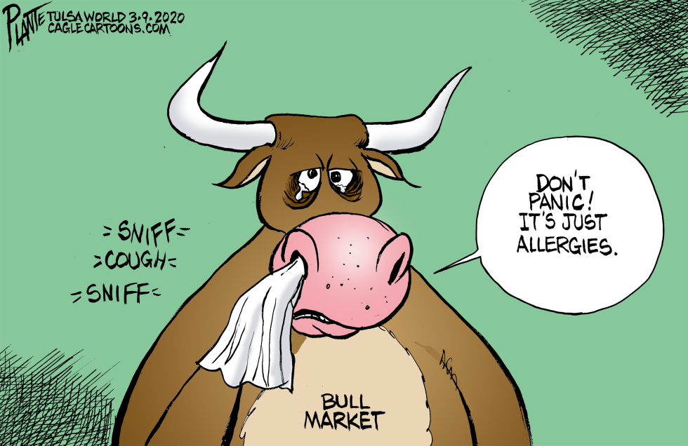 The Bull Market