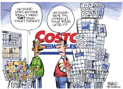 TOILET PAPER 401K by Dave Whamond