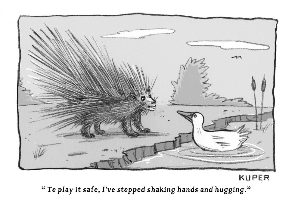 Pandemic Porcupine