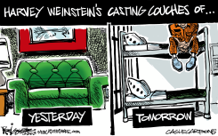 WEINSTEIN BEDS by Milt Priggee