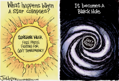 SUNSHINE WEEK by Joe Heller