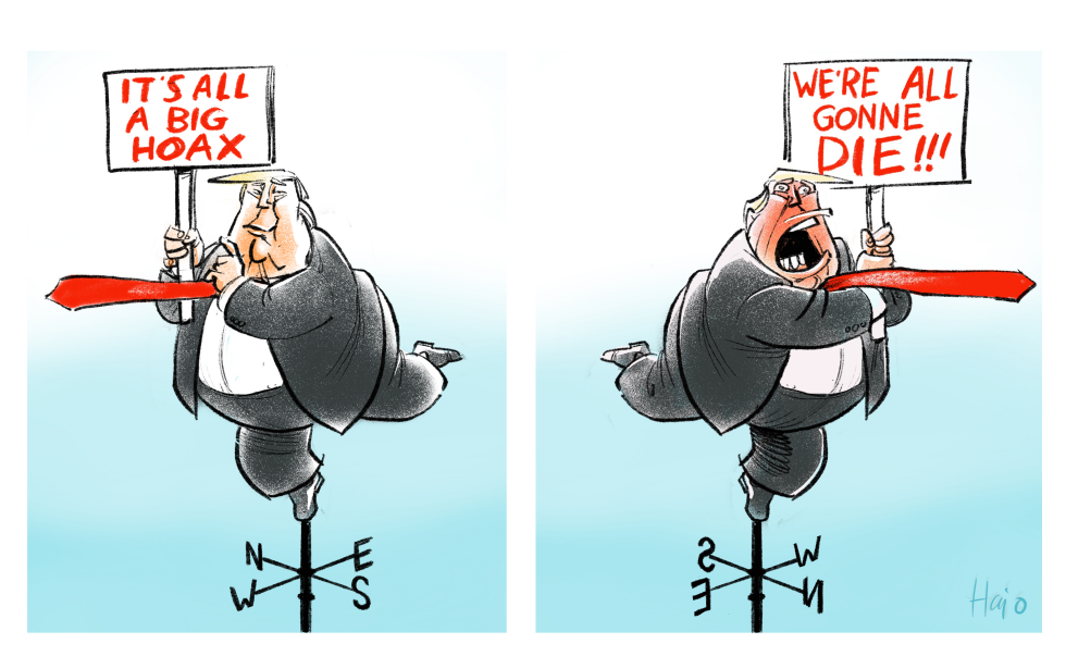 The very stable genius