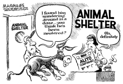 ALITO CONFIRMED by Jimmy Margulies