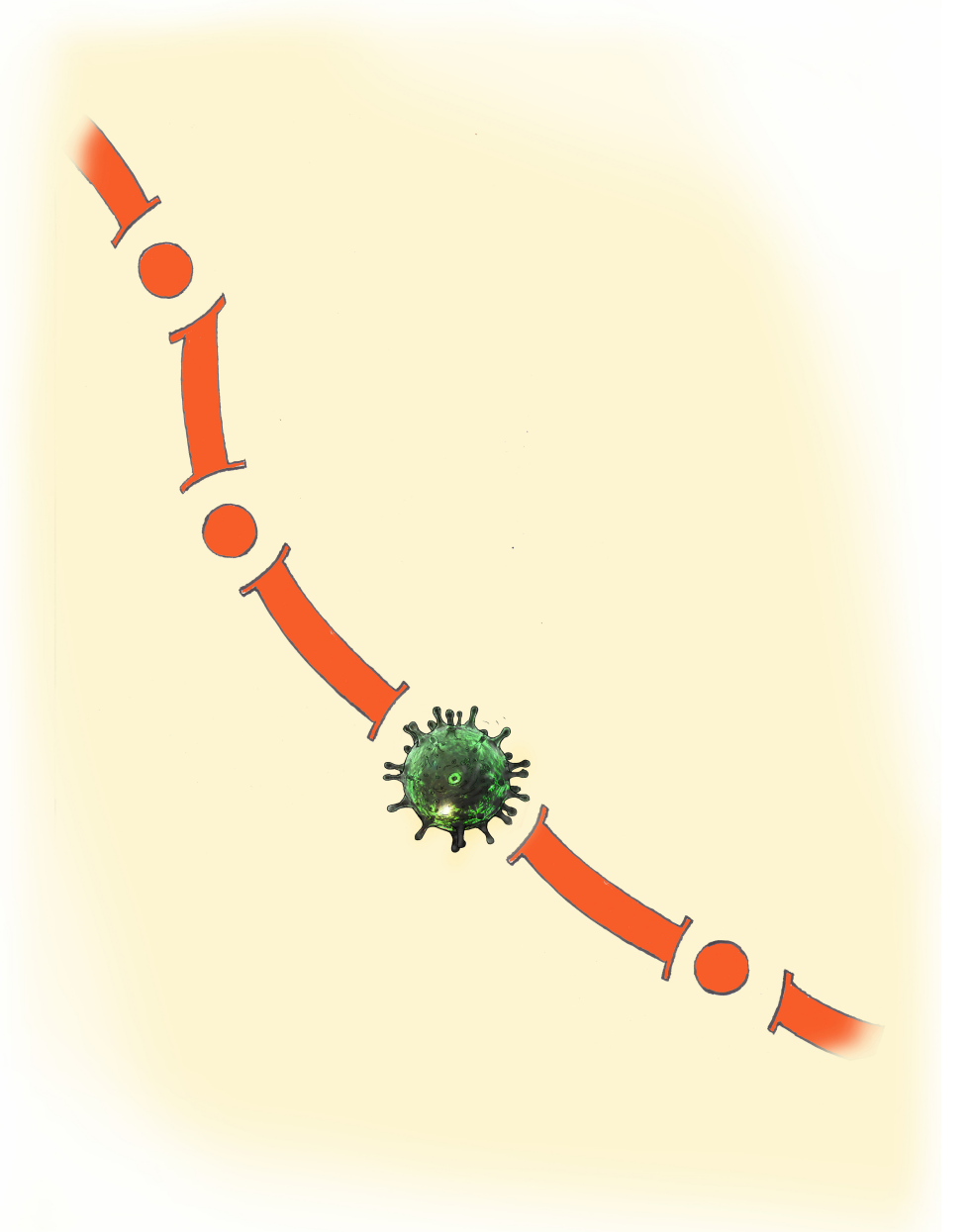 CORONA VIRUS  AND BORDER