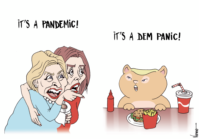 Pandemic Dem Panic