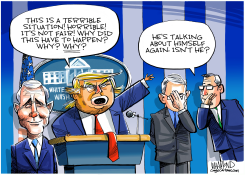 DAILYTRUMP CORONAVIRUS BRIEFING by Dave Whamond