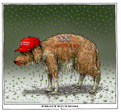 GOVERNMENT PROTECTION by Joep Bertrams