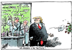 STABLE GENIUS KNOWS by Jos Collignon