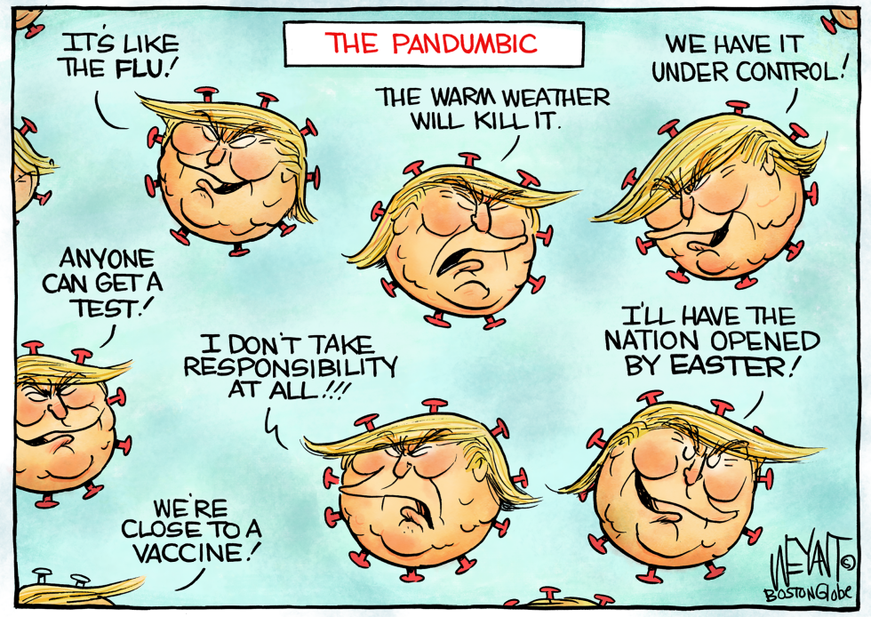 The Pandumbic