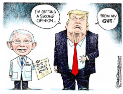 DR FAUCI ADVICE AND TRUMP by Dave Granlund