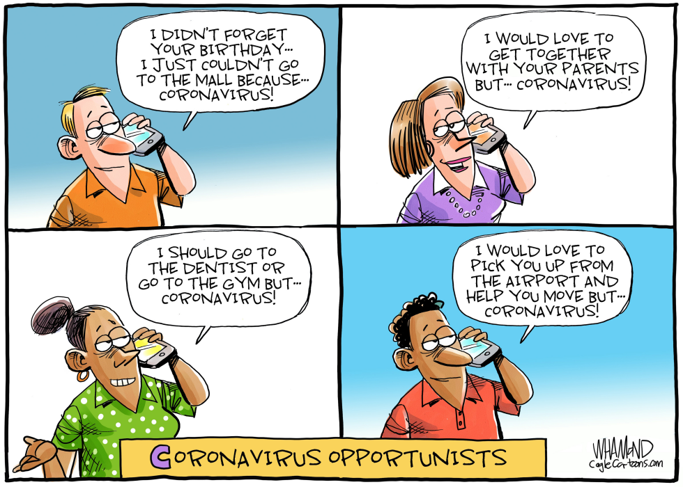 Coronavirus Opportunists
