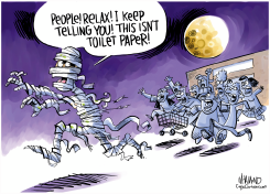 TOILET PAPER RAID by Dave Whamond