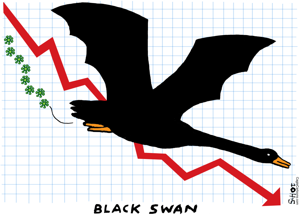 Black swan