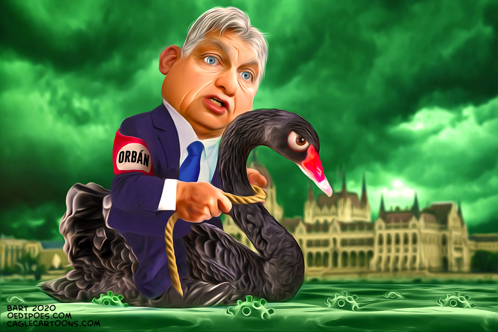 Black Swan Orban