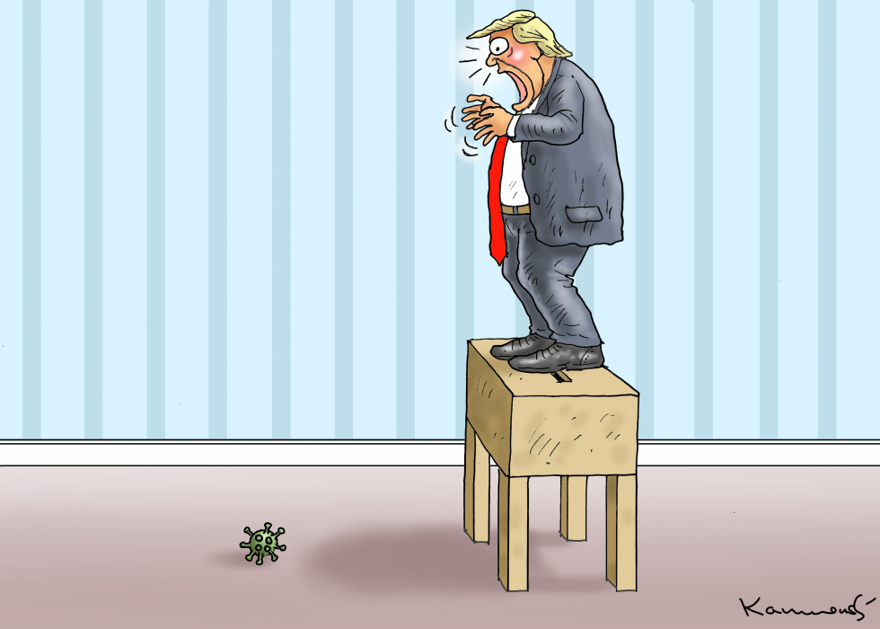 Trumps Corona Election
