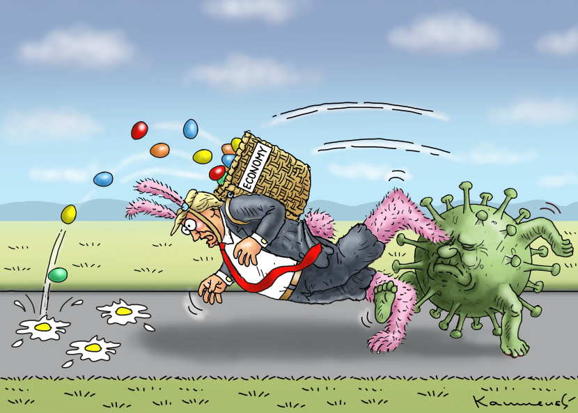 Economy Bunny