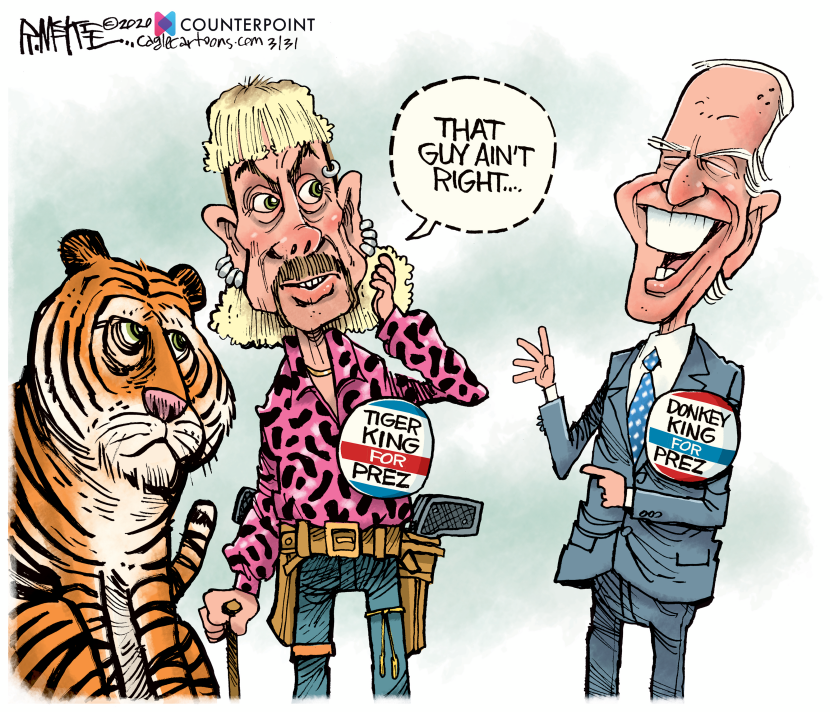 Tiger King vs Donkey King