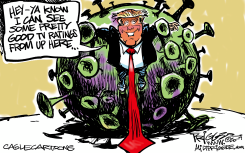 TRUMP TV RATINGS by Milt Priggee