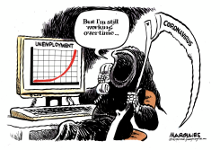 CORONAVIRUS DEATHS by Jimmy Margulies