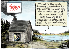WALDEN 2020 by Christopher Weyant