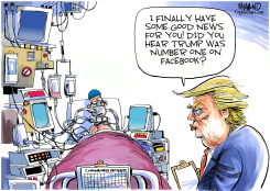LOOKING OUT FOR NUMBER ONE by Dave Whamond