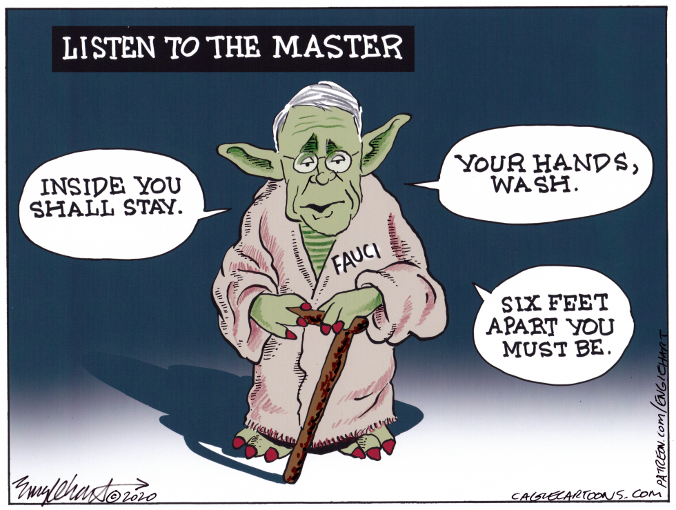 Dr. Fauci