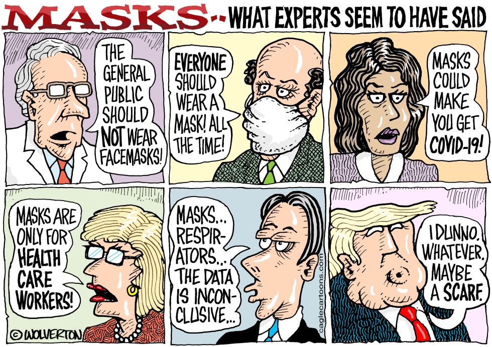 Experts on Face Masks
