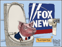 QUESTIONABLE COMMENTARY FROM FOX NEWS by Terry Mosher