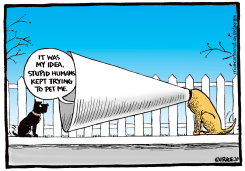 TALK TO THE CONE by Ingrid Rice