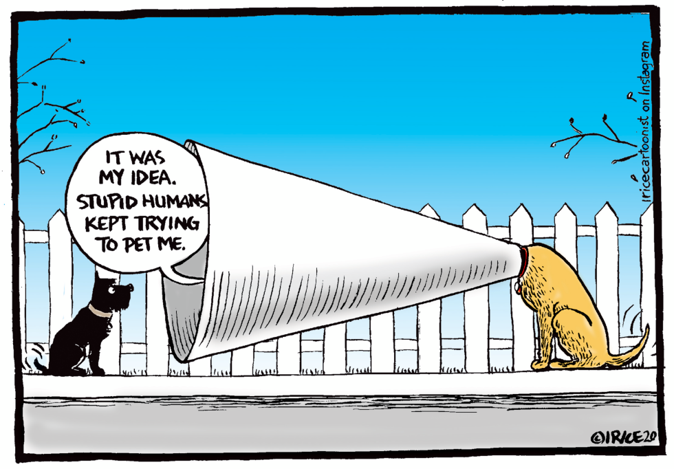 Talk To The Cone