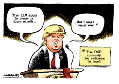 TRUMP AND FACE MASKS by Jimmy Margulies