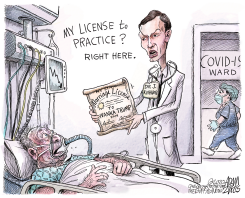 KUSHNER QUALIFICATIONS by Adam Zyglis
