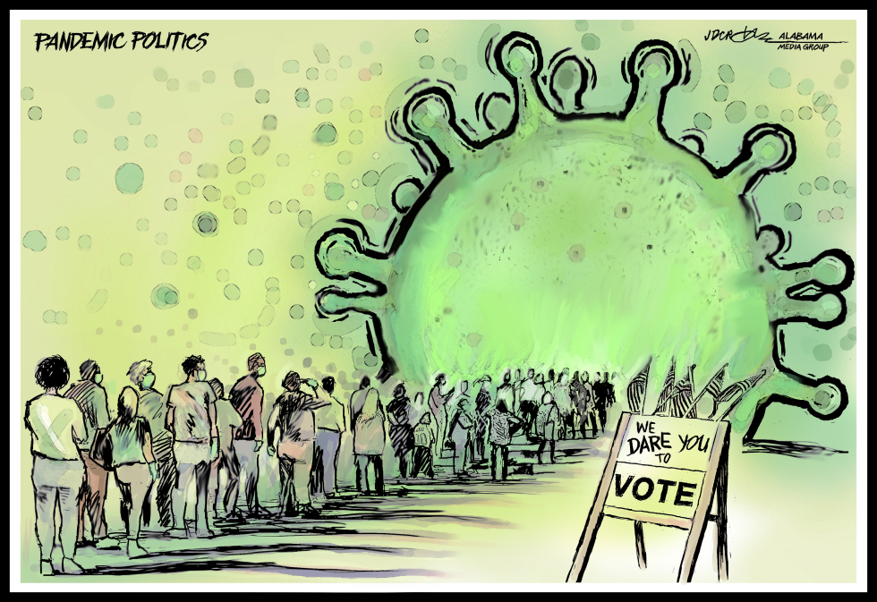 Pandemic Politics