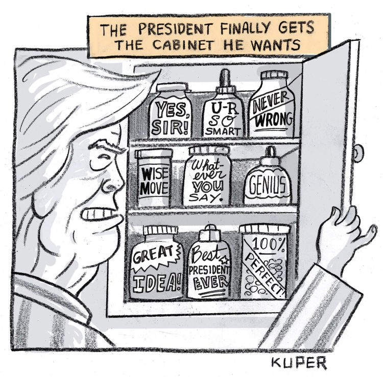 The President S Cabinet