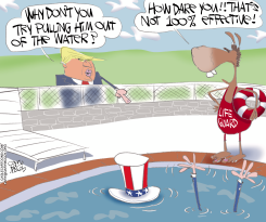 TRUMP'S ADVICE by Gary McCoy