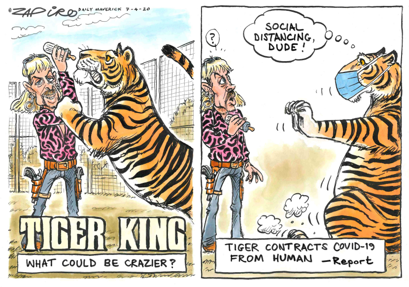 Tiger King