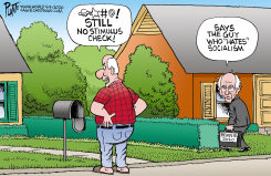 BERNIE SANDERS AND THE STIMULUS CHECK by Bruce Plante