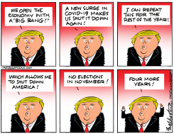 TRUMP'S AGENDA by Bob Englehart