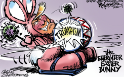 HAPPY TRUMPER by Milt Priggee