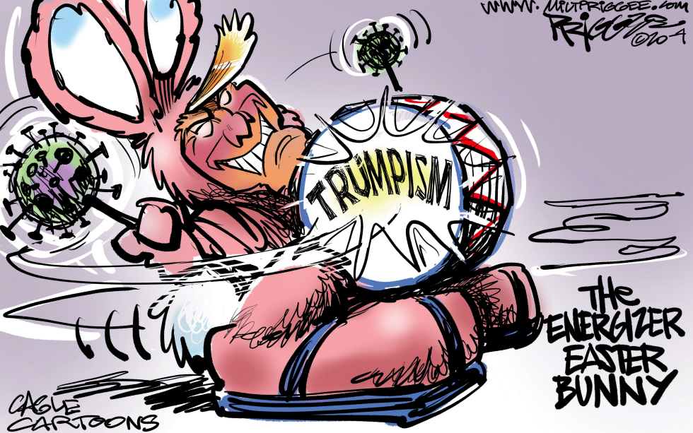 HAPPY Trumper