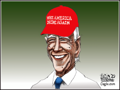 JOE BIDEN by Terry Mosher